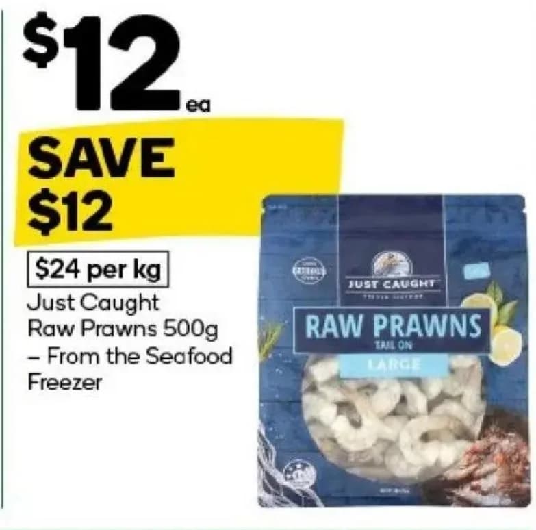 Just Caught Raw Prawns 500g
